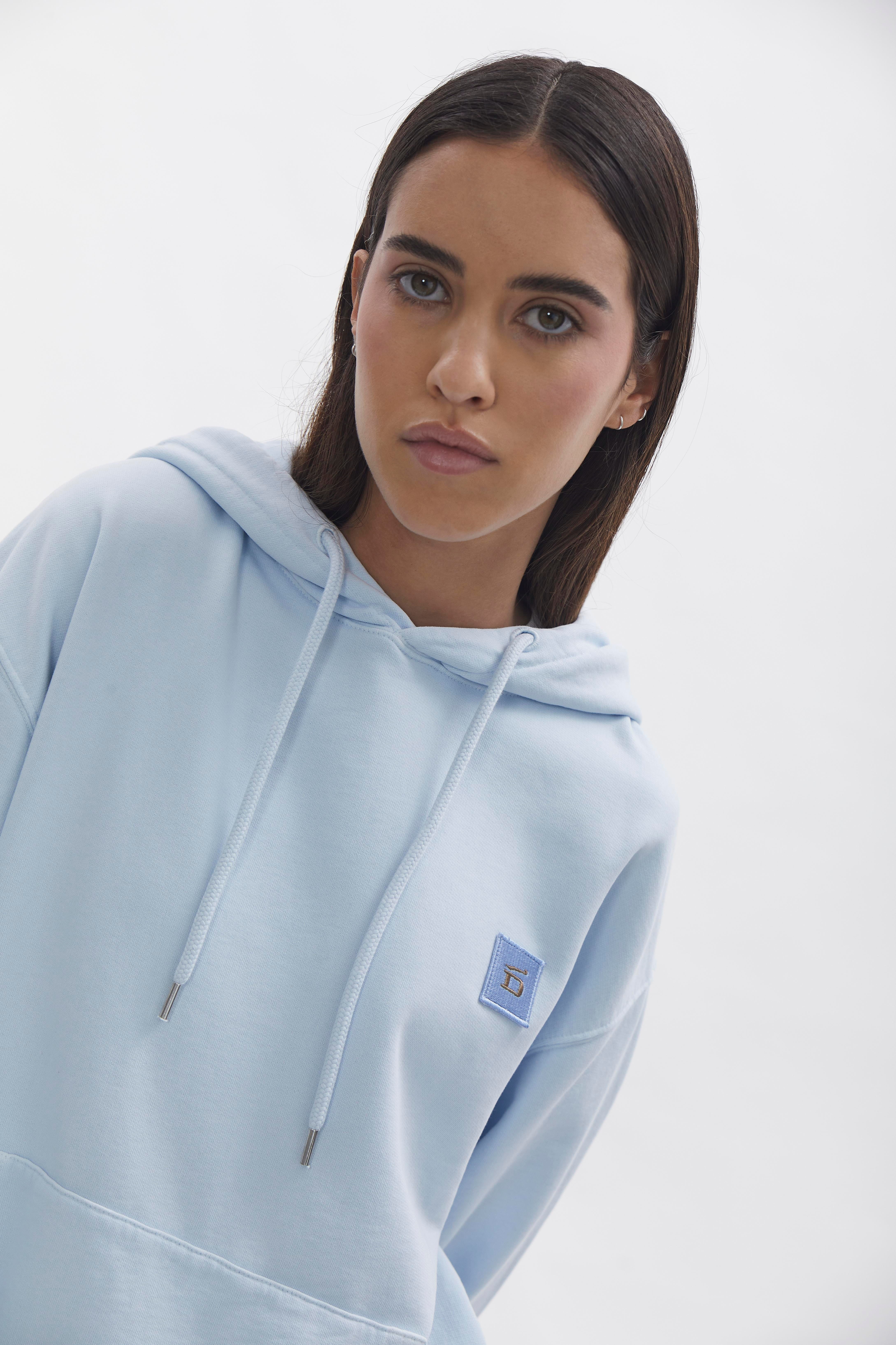 D-Brand, Hoodies, Zip Hoodies, D-Hoodie, ICE BLUE, 220101, 220101-407