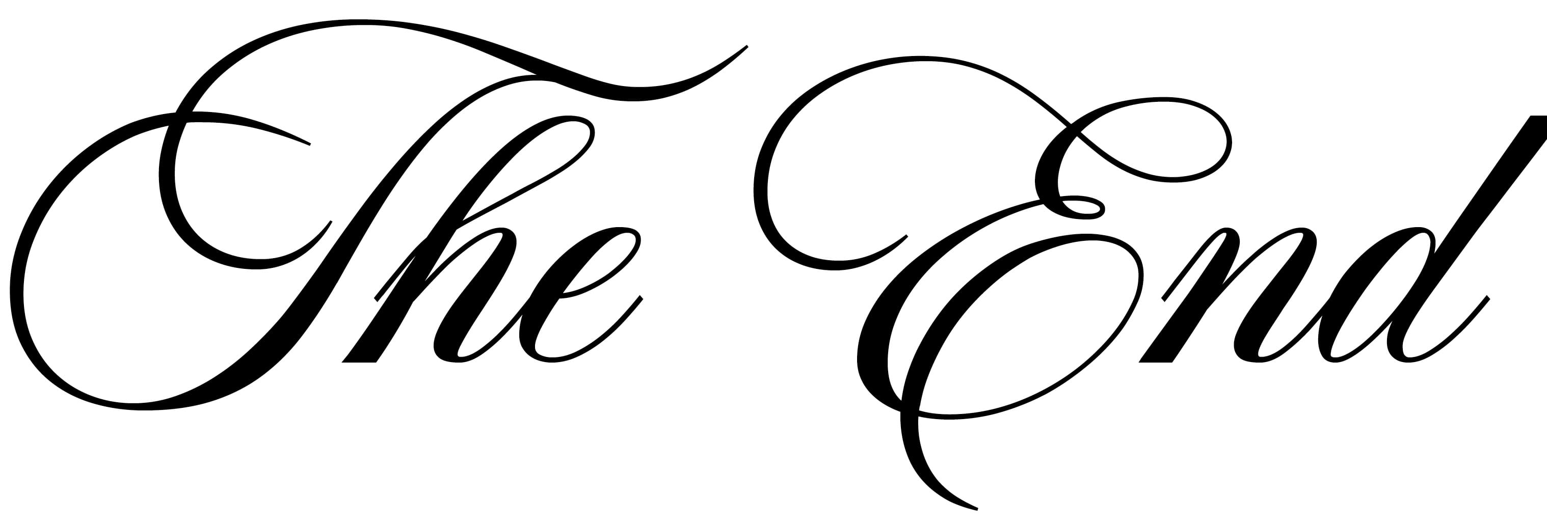 TheEnd_Schriftzug_Web_2376x800px